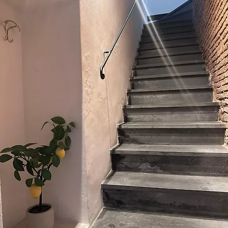 アパート Benedettini Open House